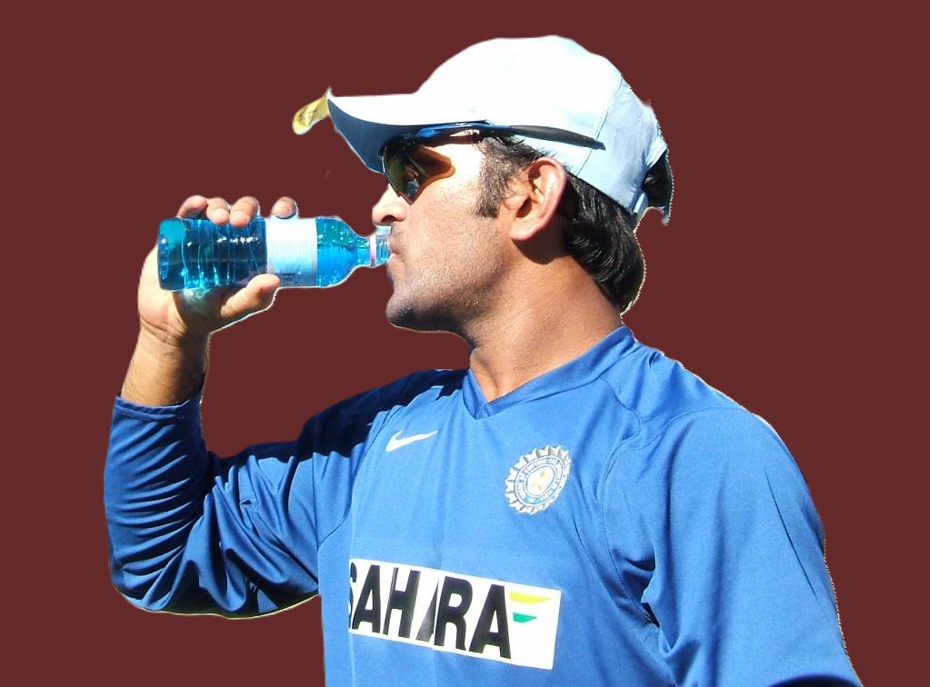 Ms dhoni net worth: